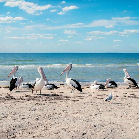 Отель Bellarine Bayside Портарлингтон Экстерьер фото