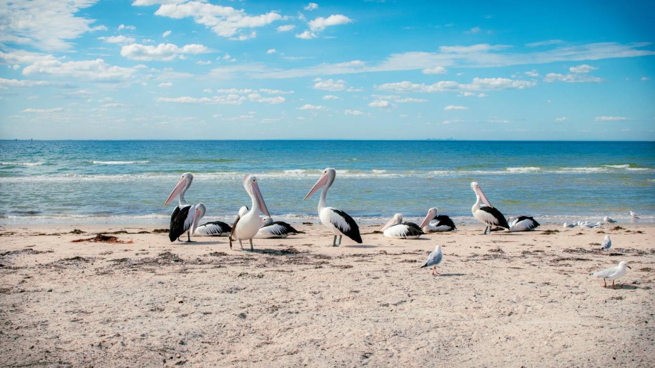 Отель Bellarine Bayside Портарлингтон Экстерьер фото